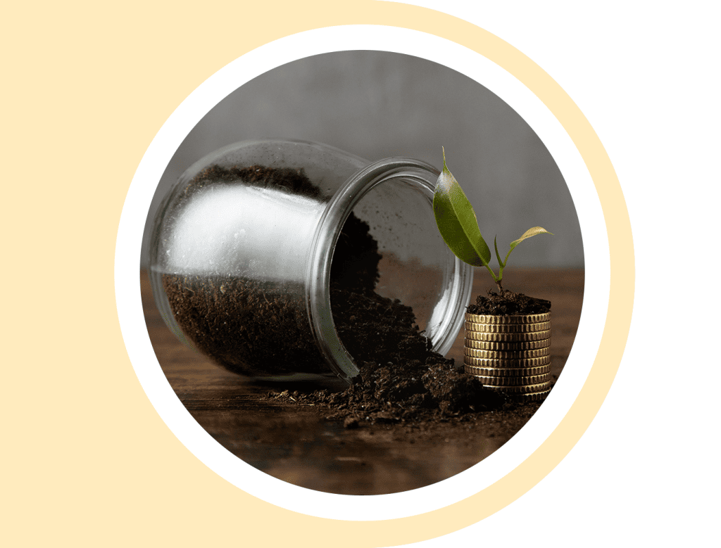 plant banner